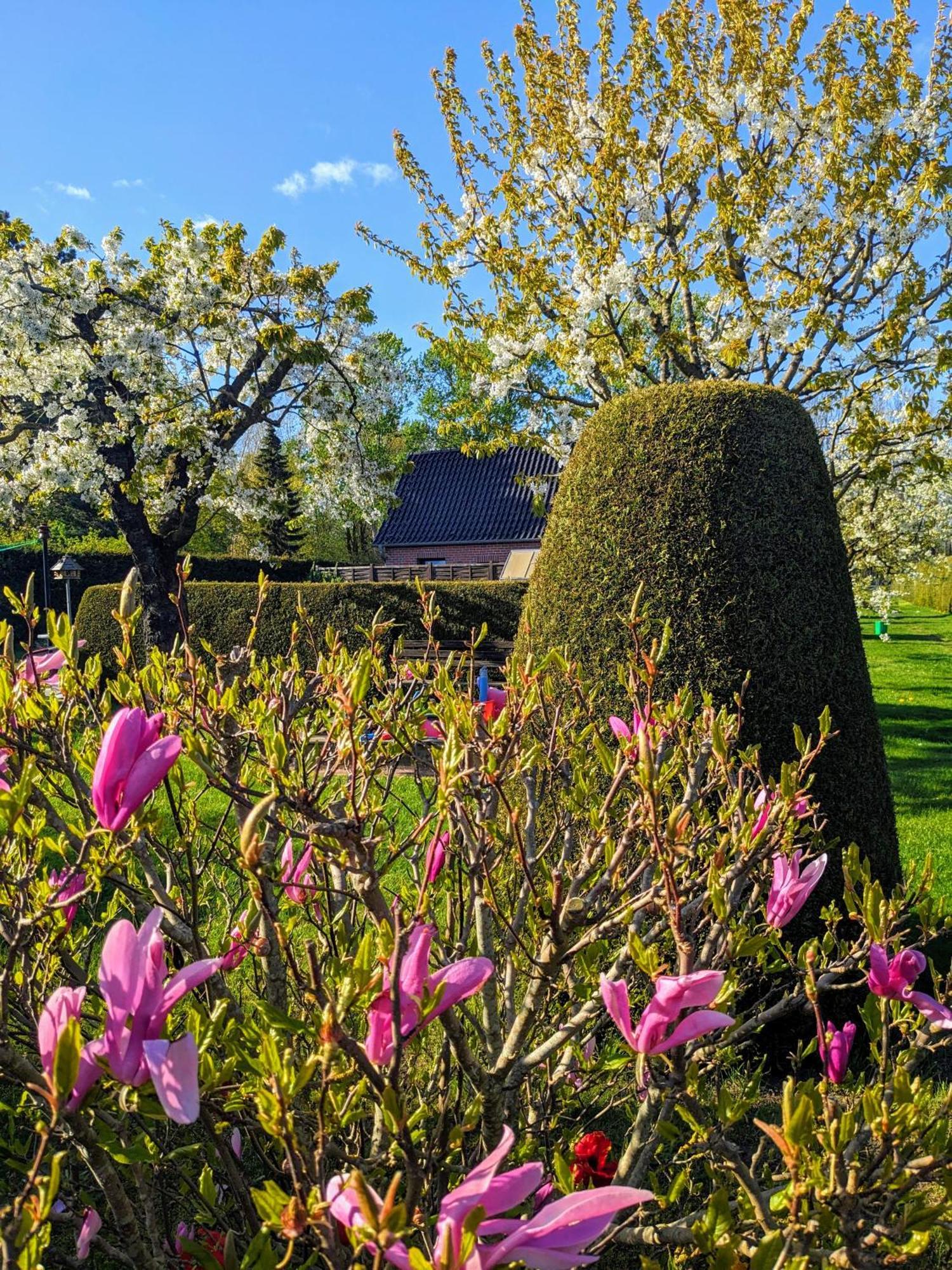 Haeuschen Im Gruenen Villa Jornstorf Exterior photo